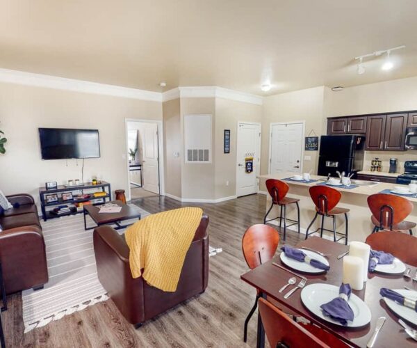 Apartment Living Room & Kitchen
