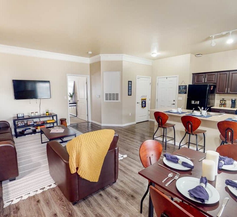 Apartment Living Room & Kitchen