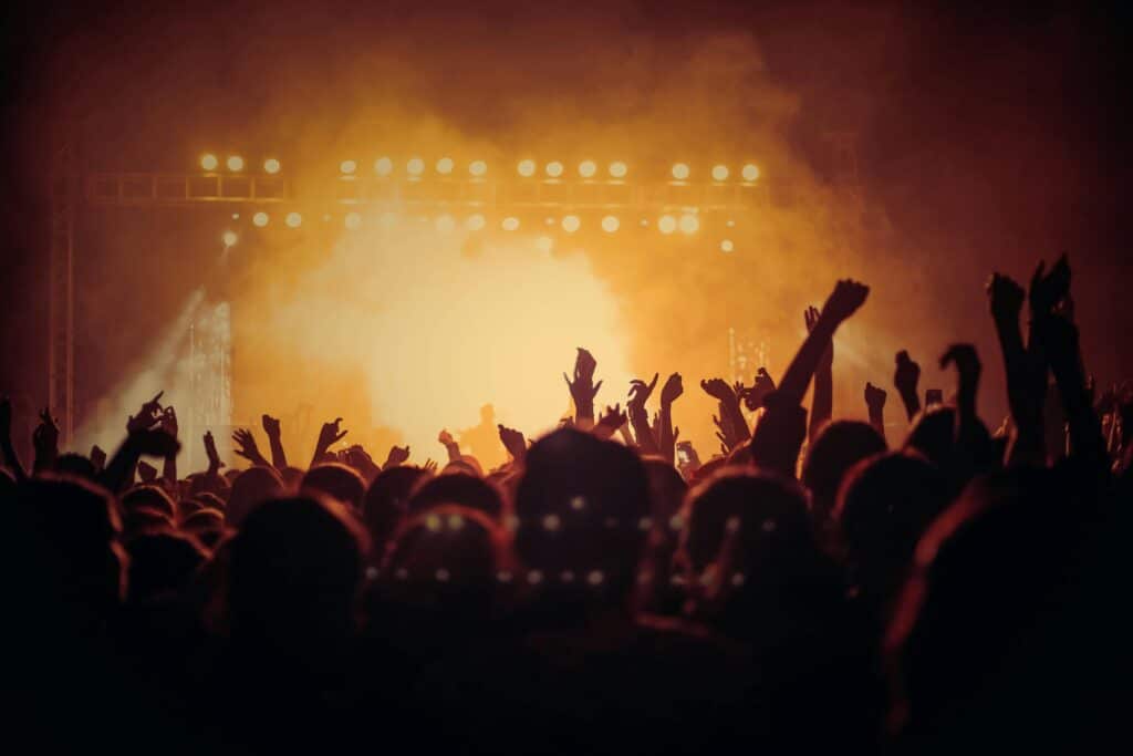 people enjoying a concert