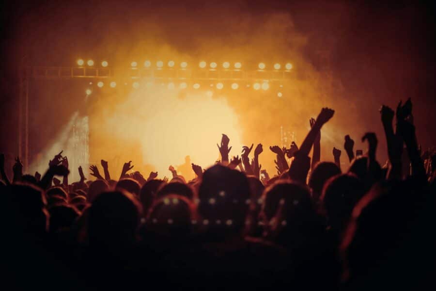 people enjoying a concert
