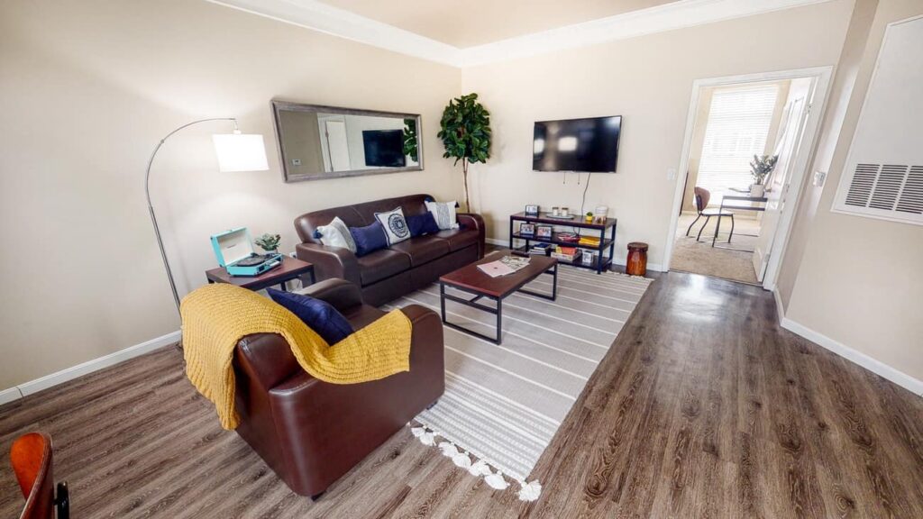 student apartment living room